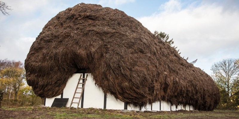 Hus med nyt tangtag på Læsø.